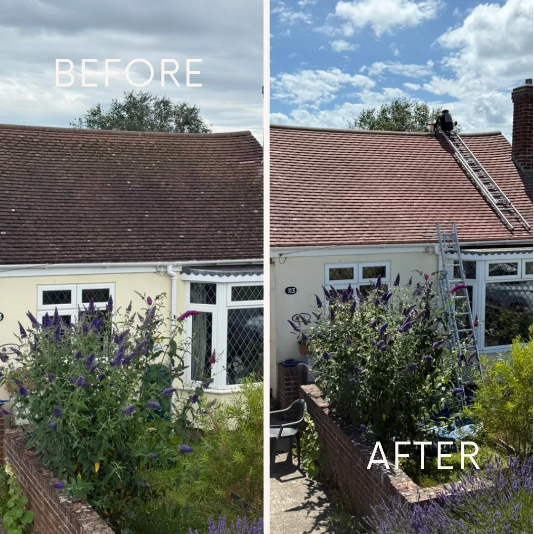 Gutter Cleaning by Pristine Roof Cleaning Solutions