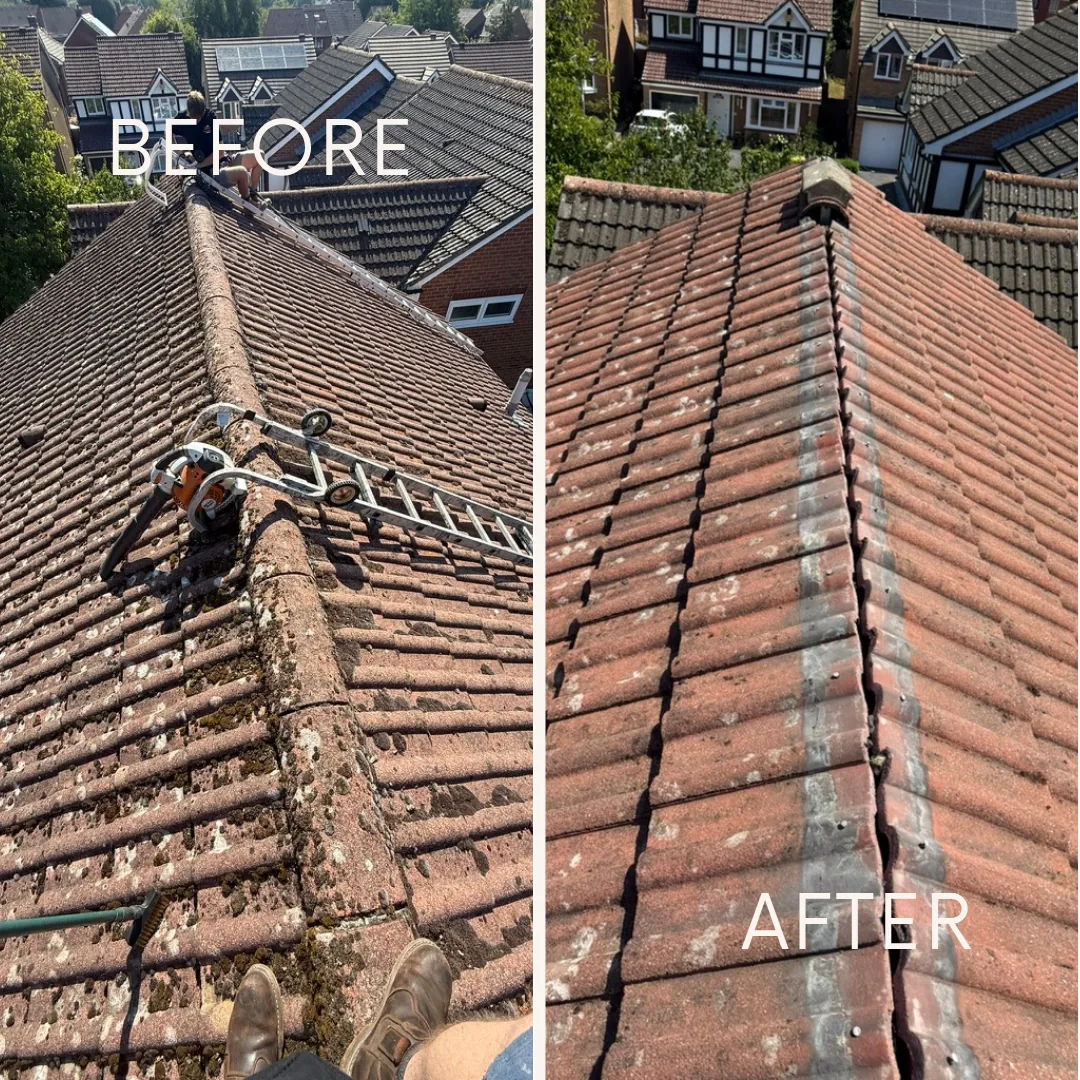 Biocide Treatment by Pristine Roof Cleaning Solutions