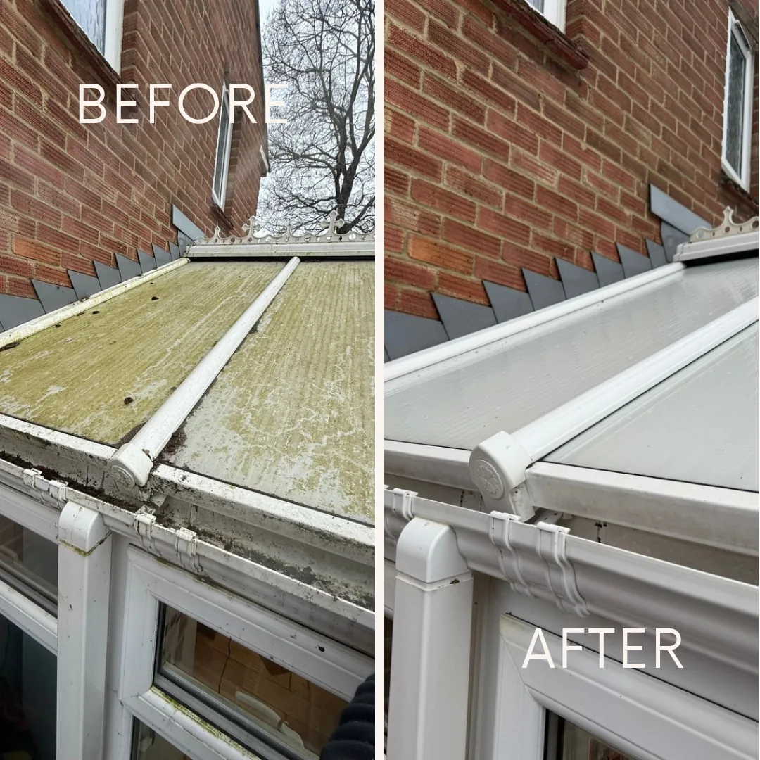 Manual Moss Removal by Pristine Roof Cleaning Solutions